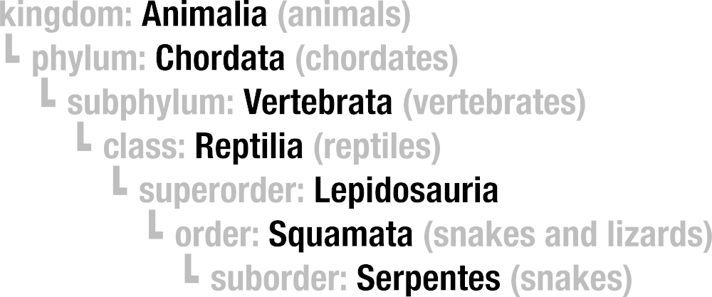 Snake in the taxonomy hierarchy